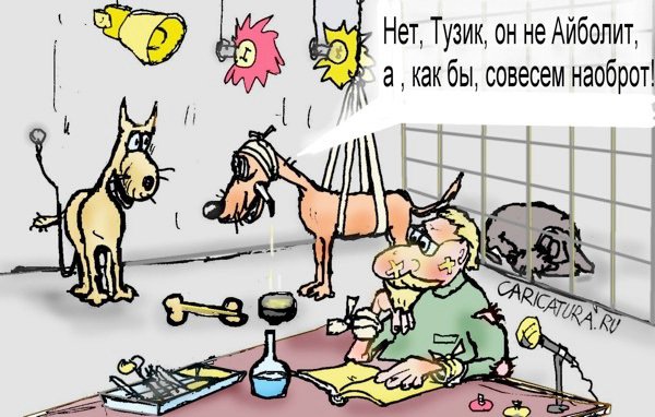 Карикатура "Наоборот", Максим Иванов