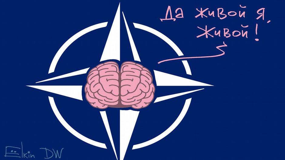 Карикатура "Грозит ли альянсу "смерть мозга"?", Сергей Елкин