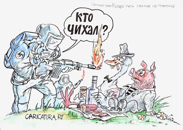 Карикатура "Когда гусь свинье не товарищ", Бауржан Избасаров
