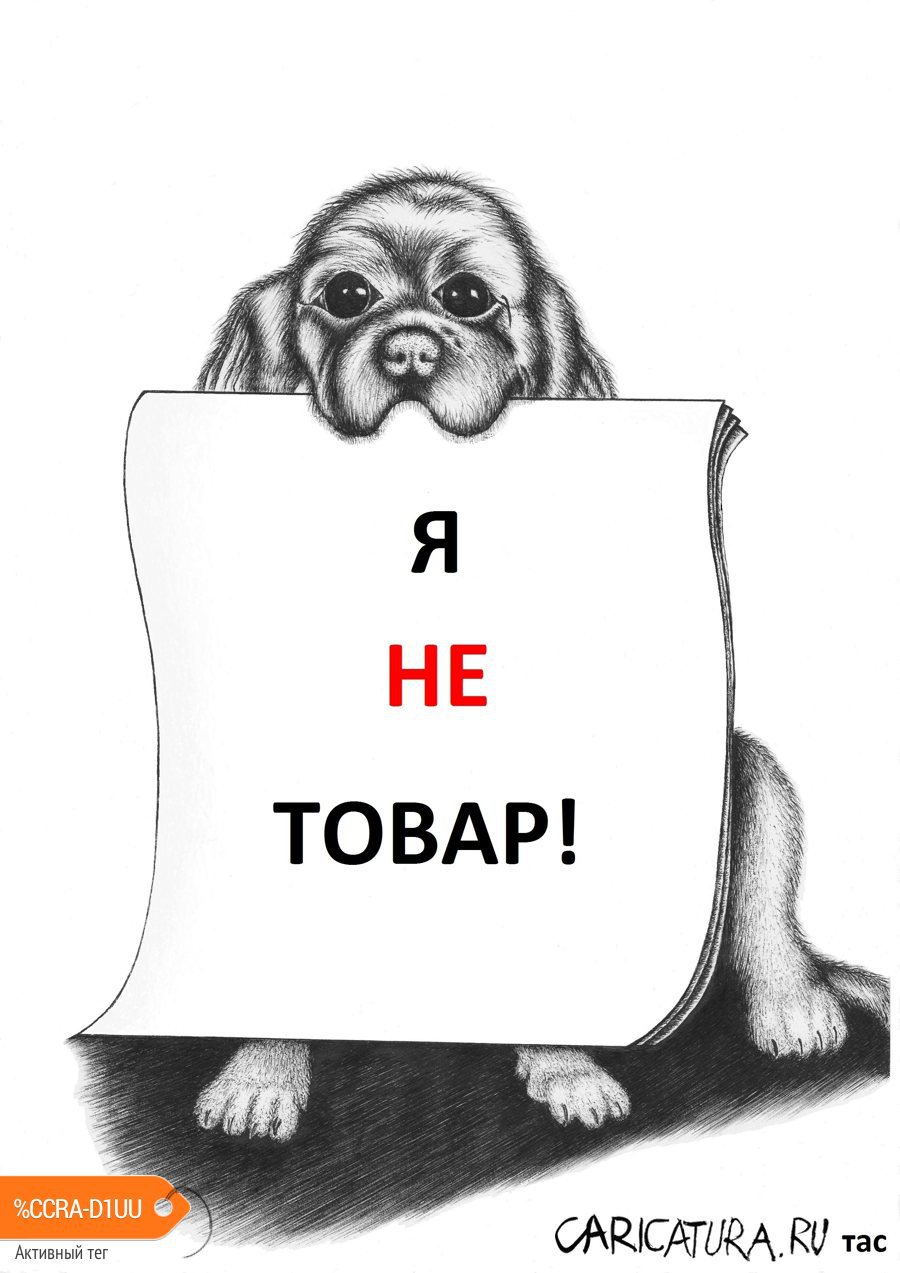 Карикатура "НЕТОВАР", Александр Троицкий