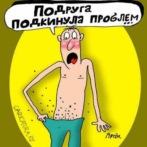 Карикатура "Подруга подкинула проблем...", Артём Бушуев