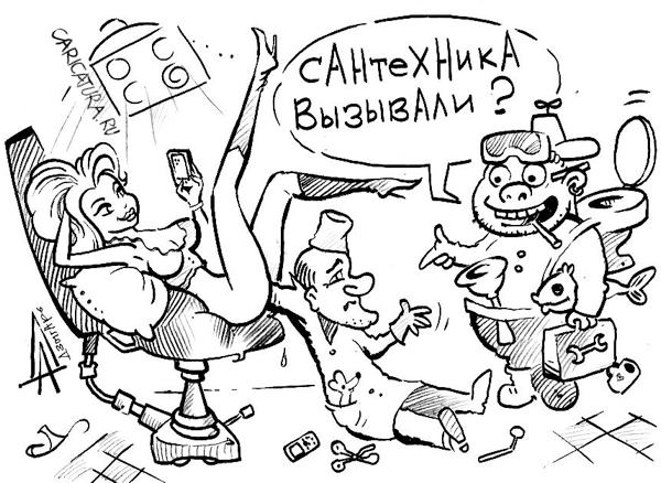 Карикатура "Сантехника вызывали?", Александр Дзыгарь
