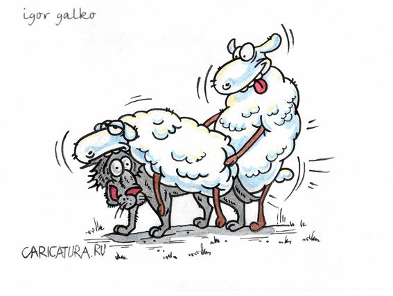 Карикатура "Овцы", Игорь Галко