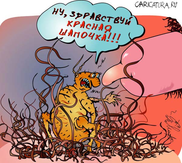 Карикатура "Красная шапочка", Алексей Молчанов