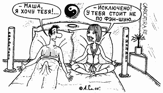 Карикатура "Фэншуй", Александр Саламатин
