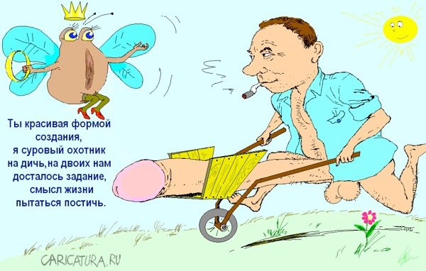 Карикатура "Смысл жизни", Андрей Векшин