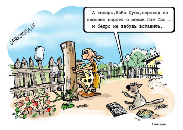 Карикатура "Утро в Фуатшаньськой деревне", Дмитрий Пальцев