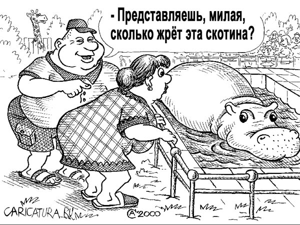 Карикатура "Бегемот", Андрей Саенко