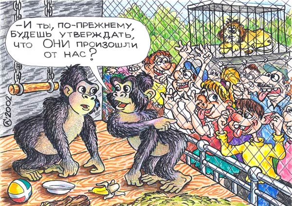 Карикатура "Эволюция", Андрей Саенко