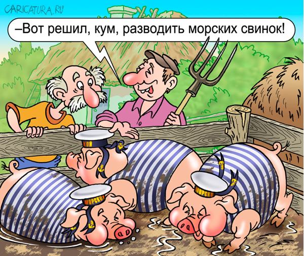 Карикатура "Морские свинки", Андрей Саенко