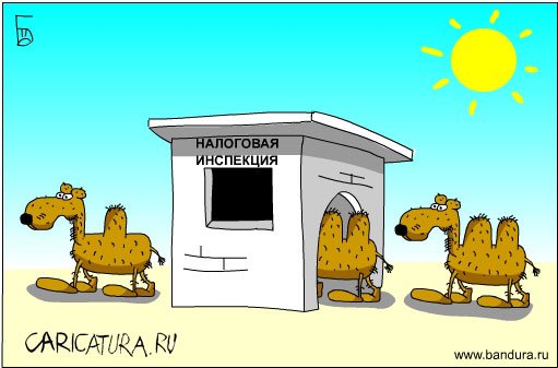 Карикатура "Верблюды", Дмитрий Бандура
