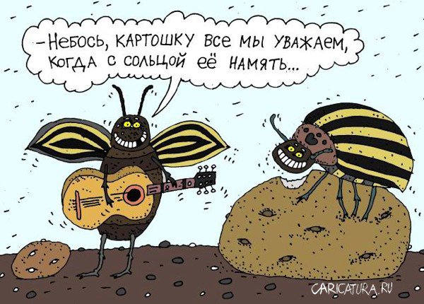 Карикатура "Колорадские жуки", Сергей Белозёров