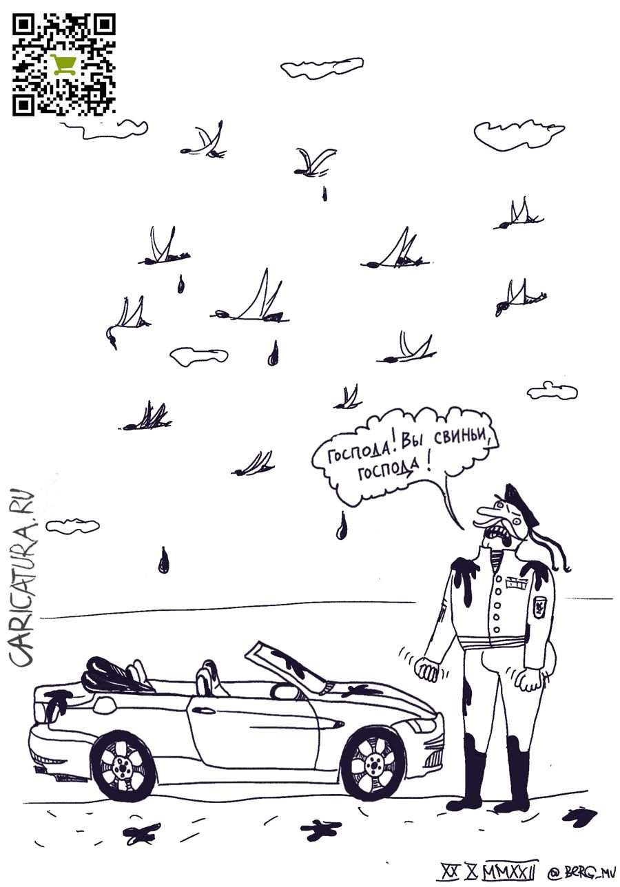 Карикатура "Летя-я-я-ят утки, эх, летя-я-я-ят утки!", Мария Берг