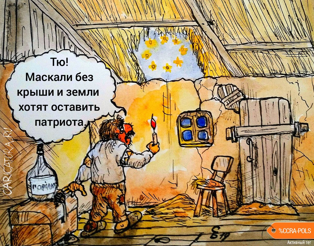 Карикатура "Патриот", Сергей Боровиков