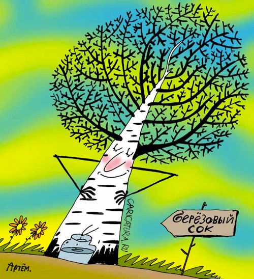 Карикатура "Берёзовый сок", Артём Бушуев