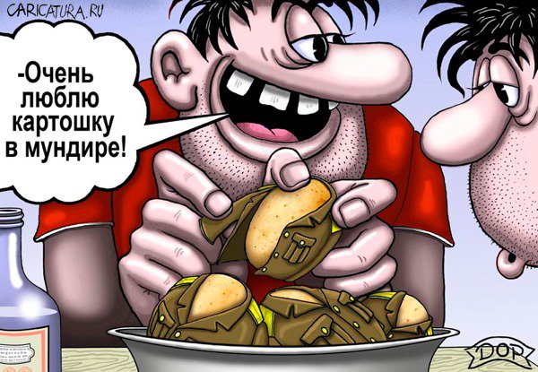 Карикатура "Картошка в мундире", Руслан Долженец