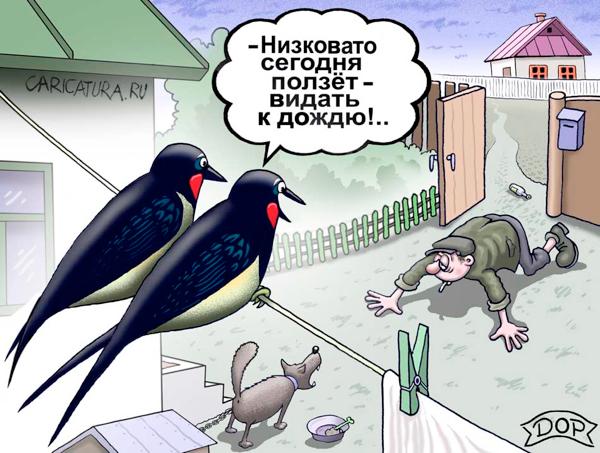 Карикатура "Птичья примета", Руслан Долженец