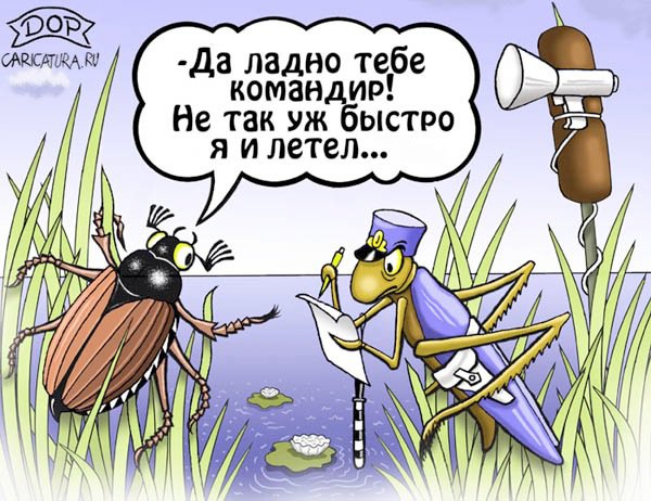 Карикатура "Воздушная автоинспекция", Руслан Долженец