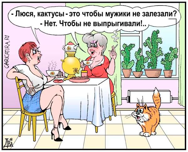 Карикатура "Женский секрет", Виктор Дидюкин