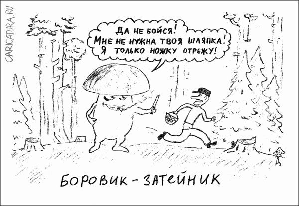 Карикатура "Боровик-затейник", Гарри Польский