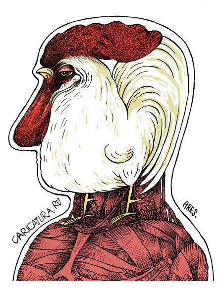 Карикатура "Курица или яйцо - Анатомия", Аристад Гуэрреро
