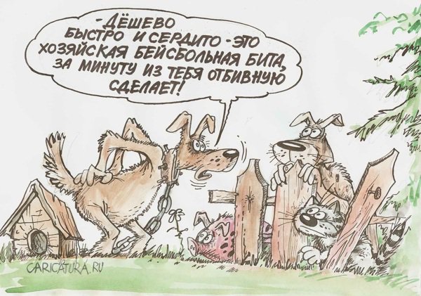 Карикатура "Дешево, быстро и сердито", Бауржан Избасаров