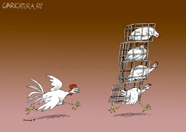 Карикатура "Курица или яйцо - Догоню", Темур Козаев