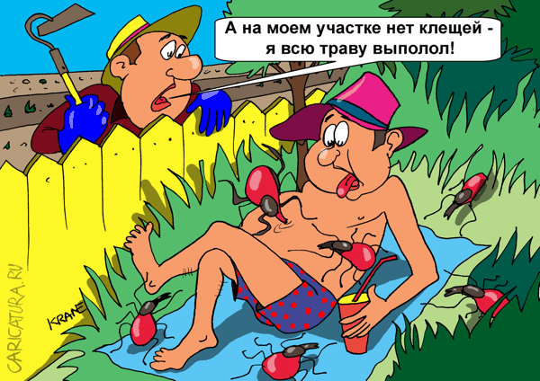 Карикатура "Большинство укушенных клещами - дачники", Евгений Кран