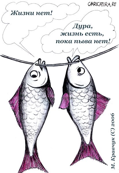 Карикатура "Жизни нет!", Максим Кравчук