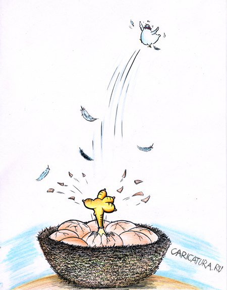 Карикатура "Курица или яйцо - Пинок", Жао Кун