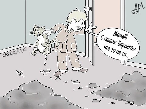 Карикатура "Проблемы с Барсиком", Дмитрий Маркелов