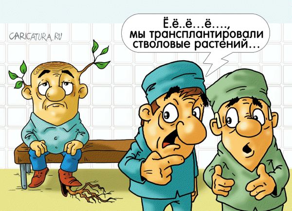 Карикатура "Упс!", Александр Ермолович