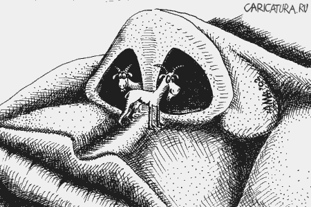 Карикатура "Козы", Александр Мажуга
