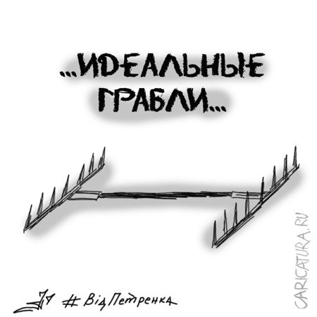 Карикатура "Грабли для дураков", Андрей Петренко
