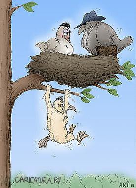 Карикатура "Птички", Артем Попов