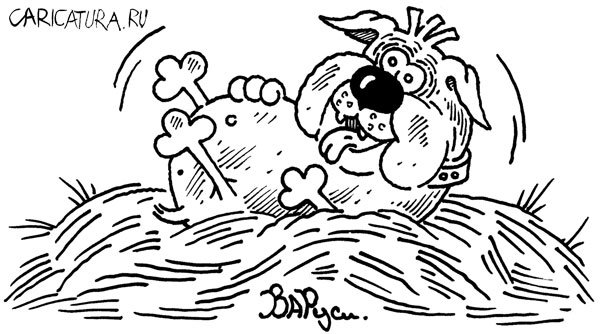 Карикатура "Собака на сене", Руслан Валитов