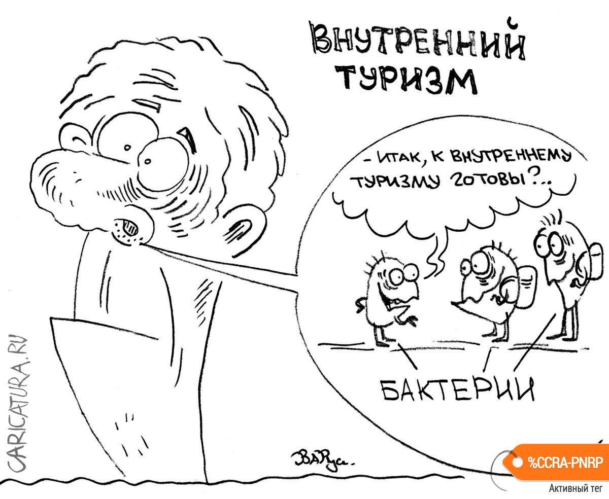 Карикатура "Внутренний туризм", Руслан Валитов
