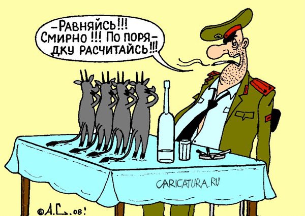 Карикатура "Равняйсь!", Александр Саламатин