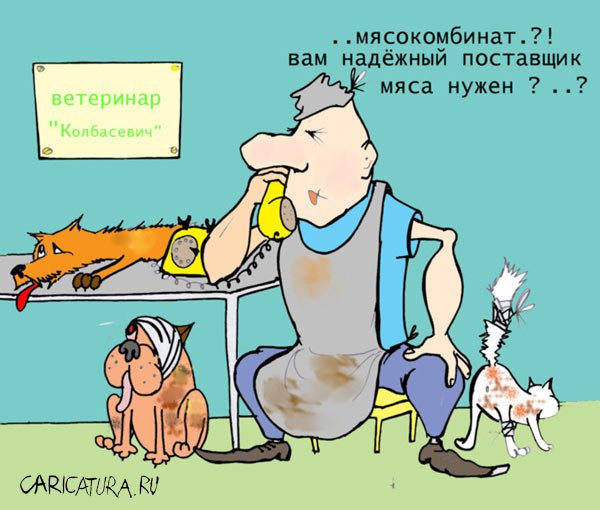 Карикатура "Ветеринар", Александр Шауров
