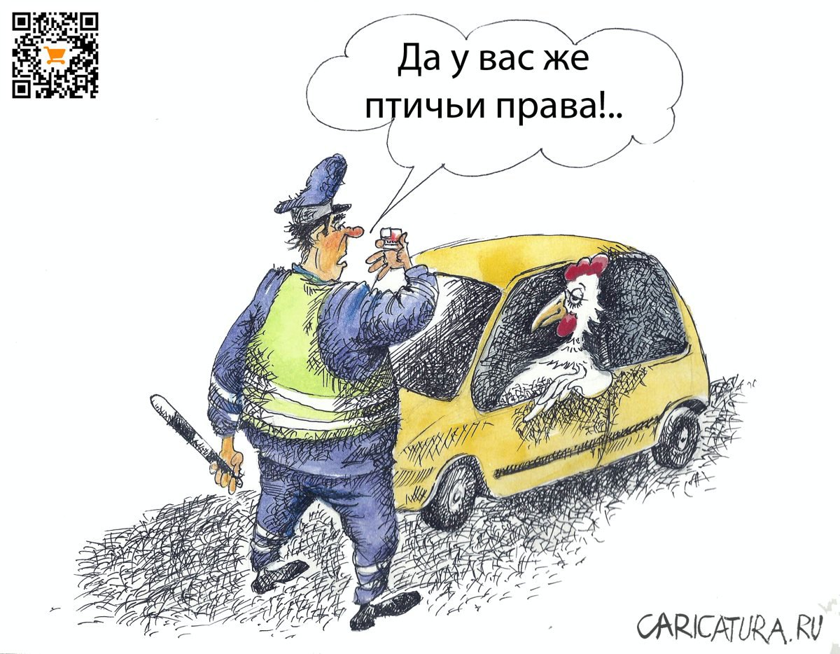 Карикатура "Птичьи права", Александр Шульпинов