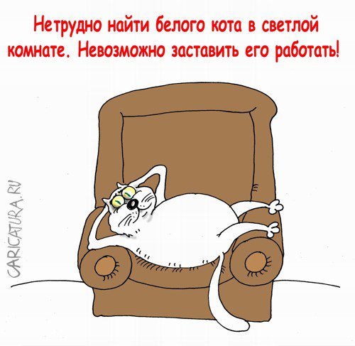 Карикатура "Белый кот, голубая кровь", Валерий Тарасенко