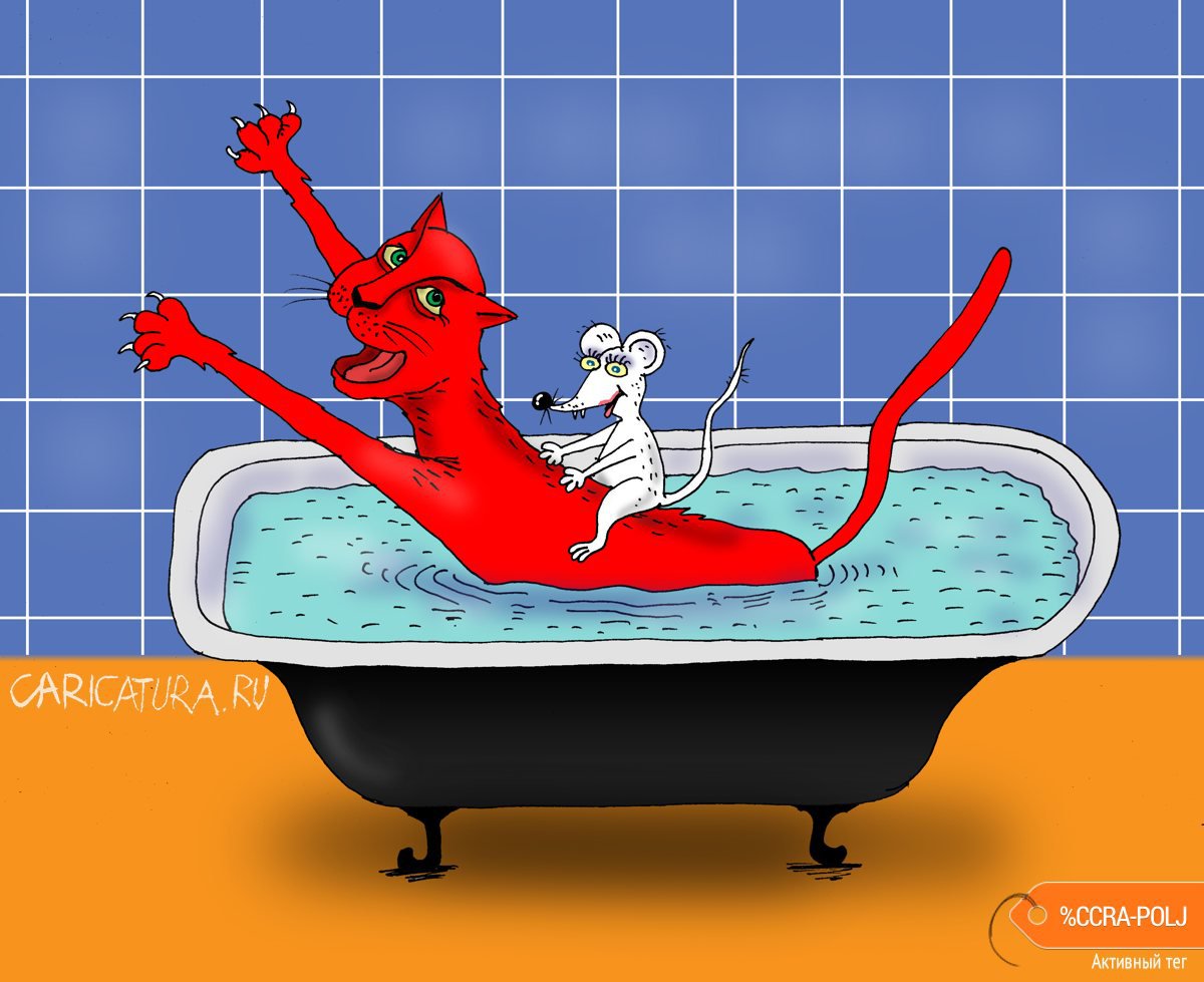 Карикатура "Купание кота", Валерий Тарасенко