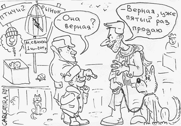 Карикатура "Верная собачка", Вадим Коршун