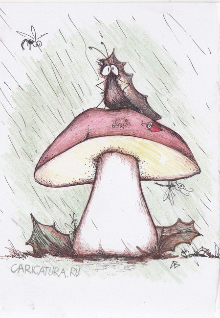 Карикатура "Царь грибов", Андрей Василенко
