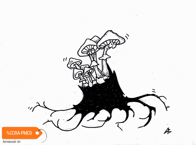 Карикатура "Пни с ногами, грибы с глазами", Андрей Василенко
