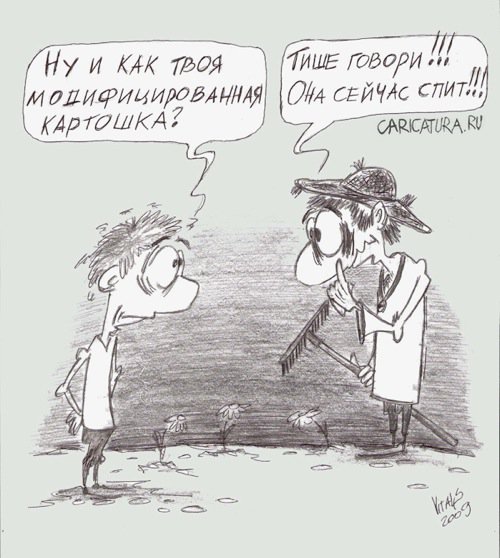 Карикатура "Картошка", Виталий Пельня