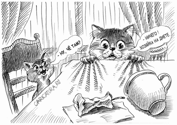 Карикатура "Черные дни жирного кота", Владимир Владков