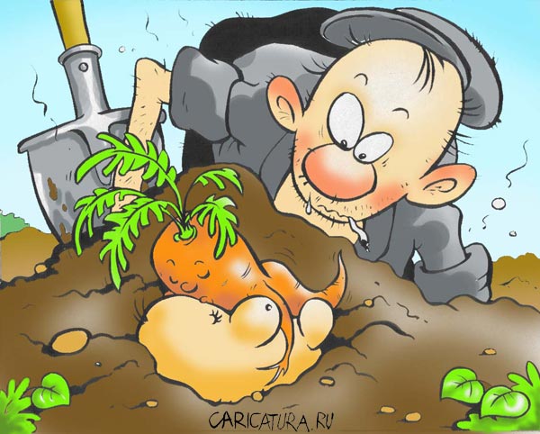 Карикатура "Любовь-морковь", Александр Воробьев