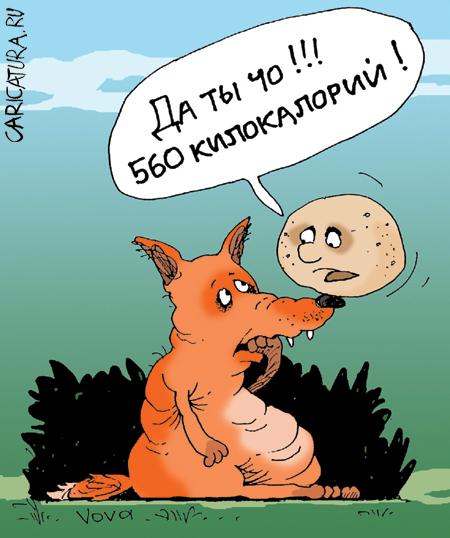 Карикатура "Лишние калории", Владимир Иванов