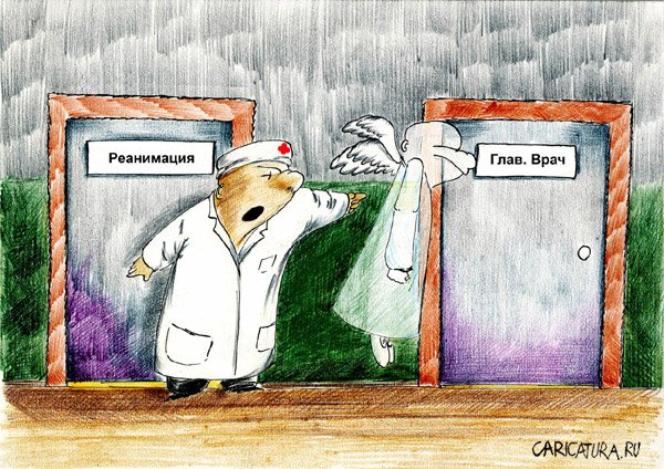Карикатура "Жаловаться можно", Олег Малянов